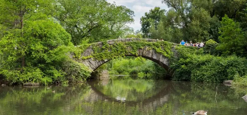Central Park Conservancy's Woodland Walk