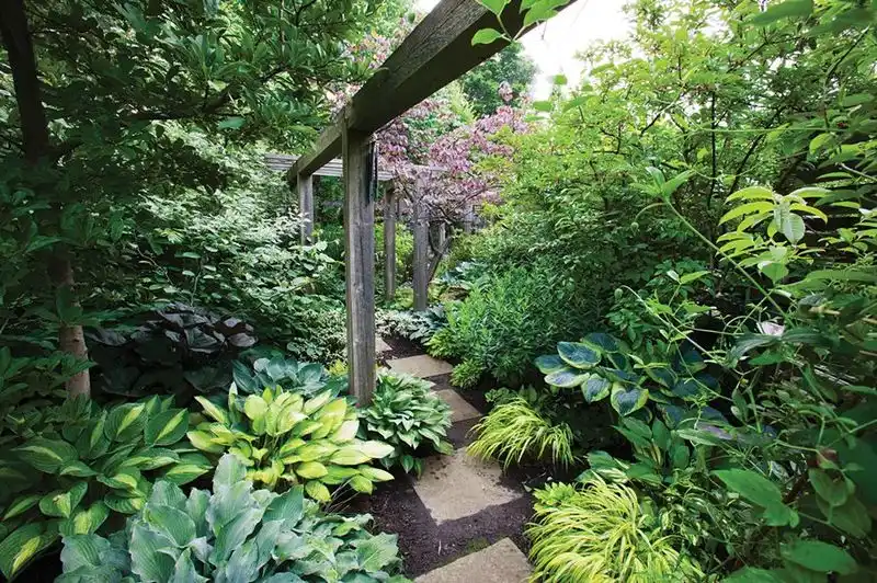 Plan for Shade