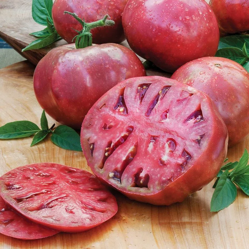 Cherokee Purple Tomato