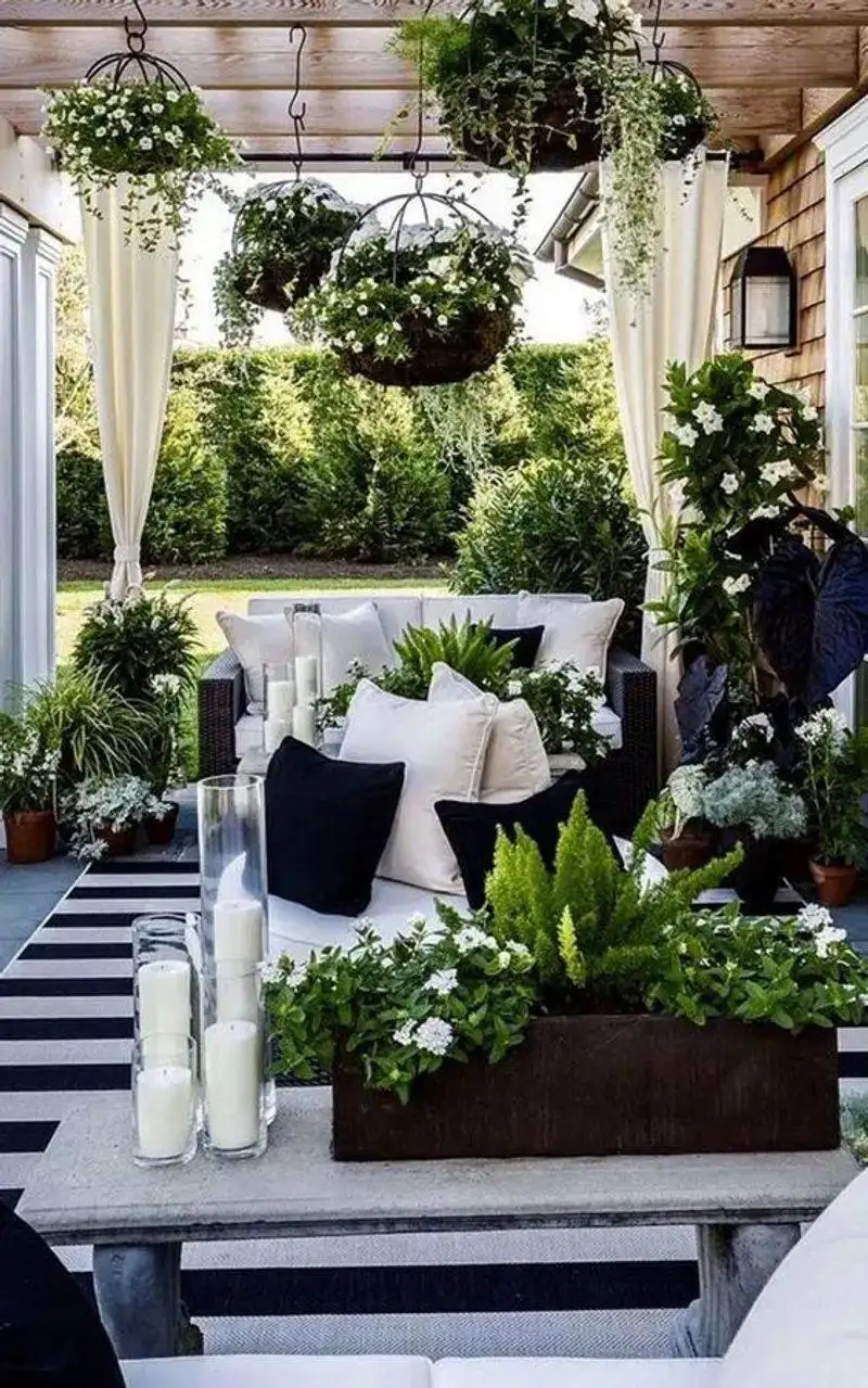 Chic Black & White