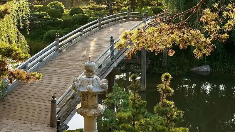 Chicago Botanic Garden's Japanese Garden