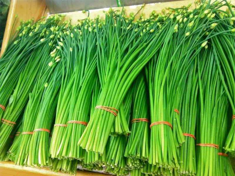 Chives