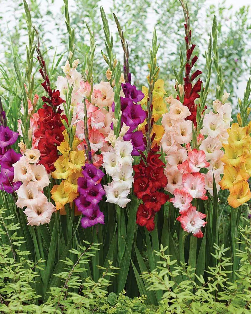 Perfect Planting Spots