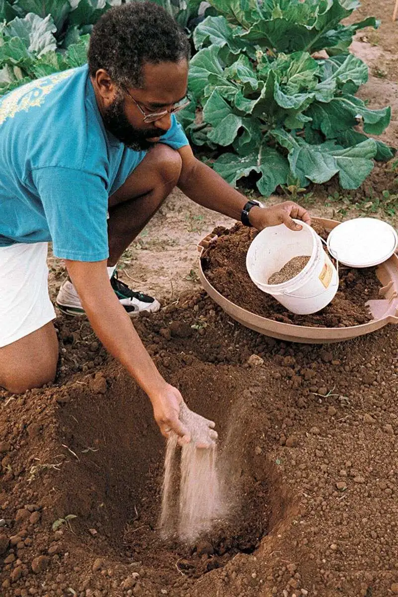 Prepare the Soil