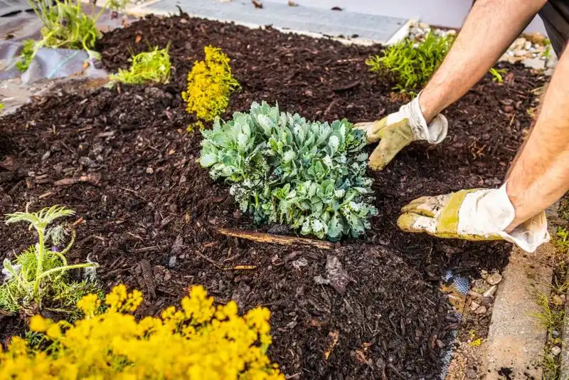 Using Mulch Improperly