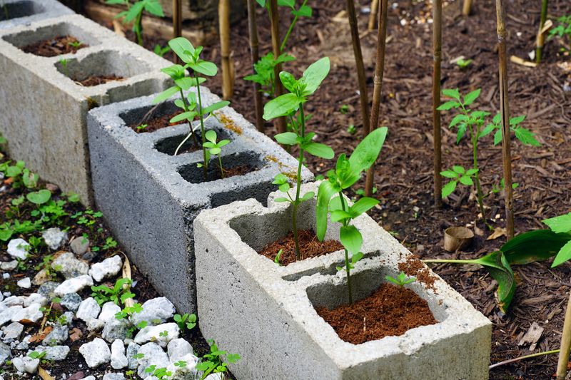 Cinder Block Planters