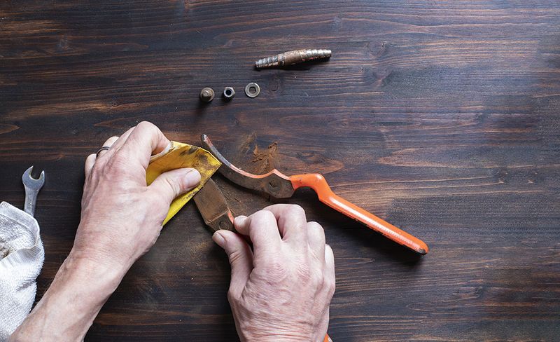 Cleaning Garden Tools