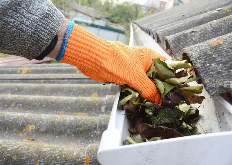 Cleaning Gutters and Downspouts