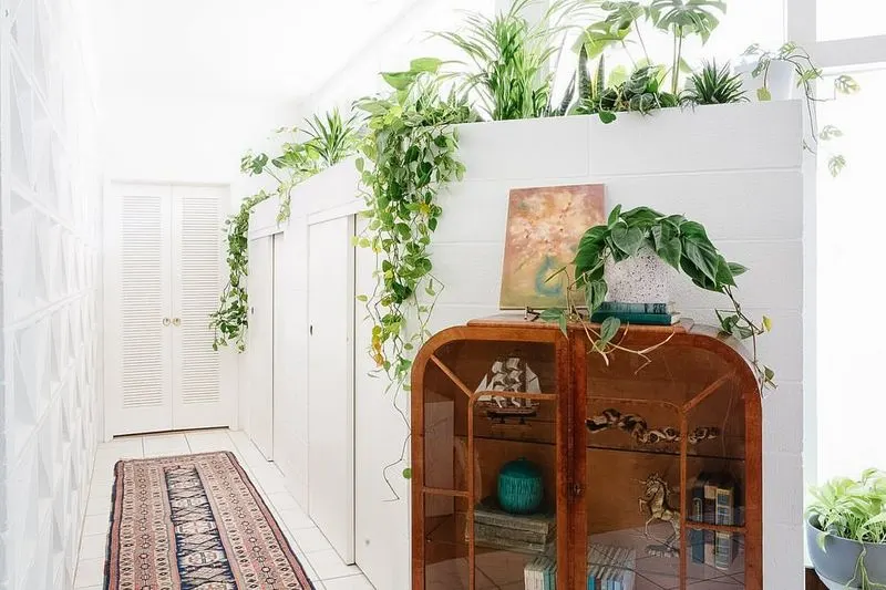 Foliage Feature Wall