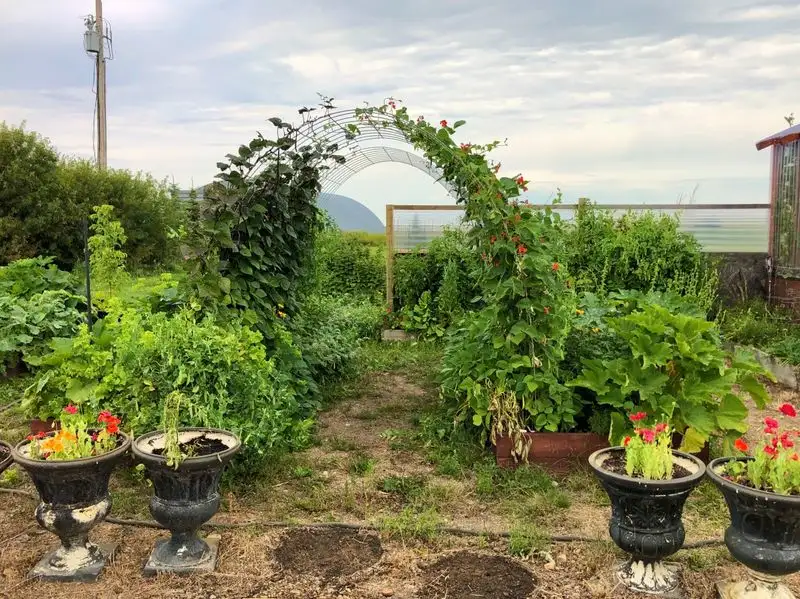Inadequate Arbor Support