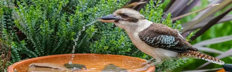 Coastal Bird Sanctuaries