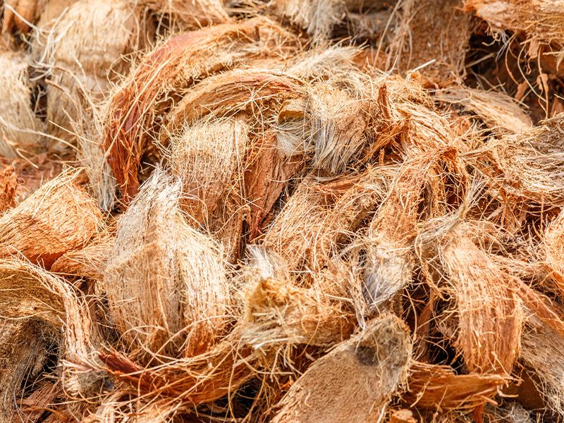 Coconut Coir