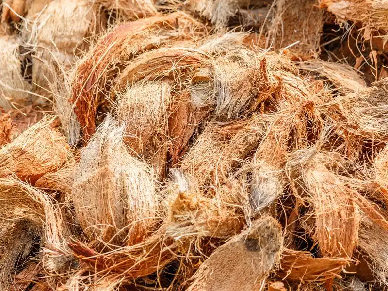 Coconut Coir