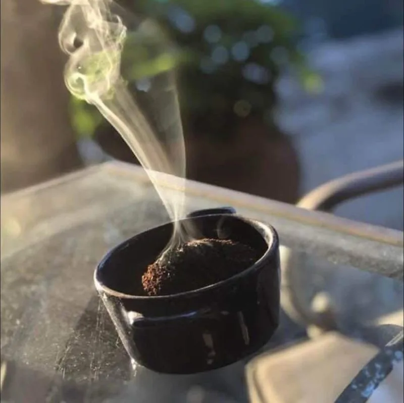Coffee Grounds as Pest Repellent