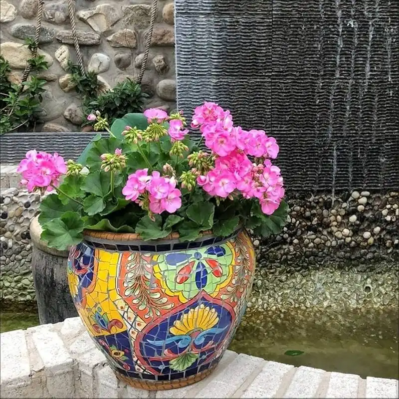 Colorful Planters