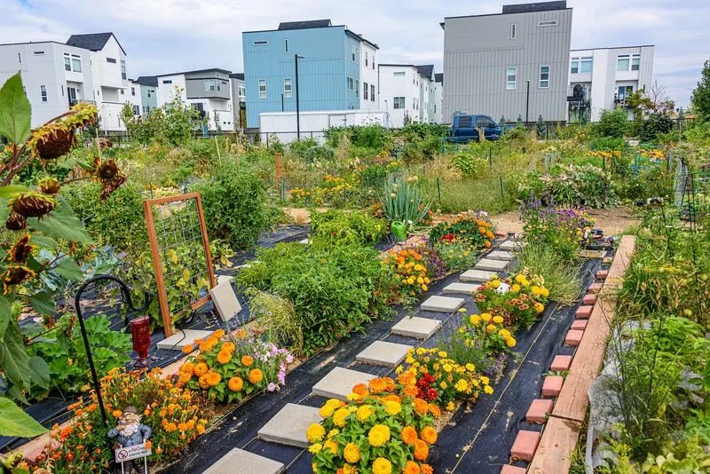 Community Gardens