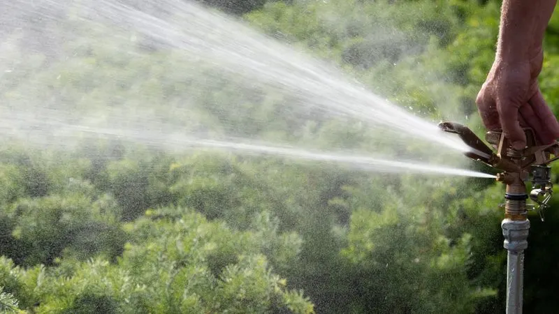 Watering Wisely