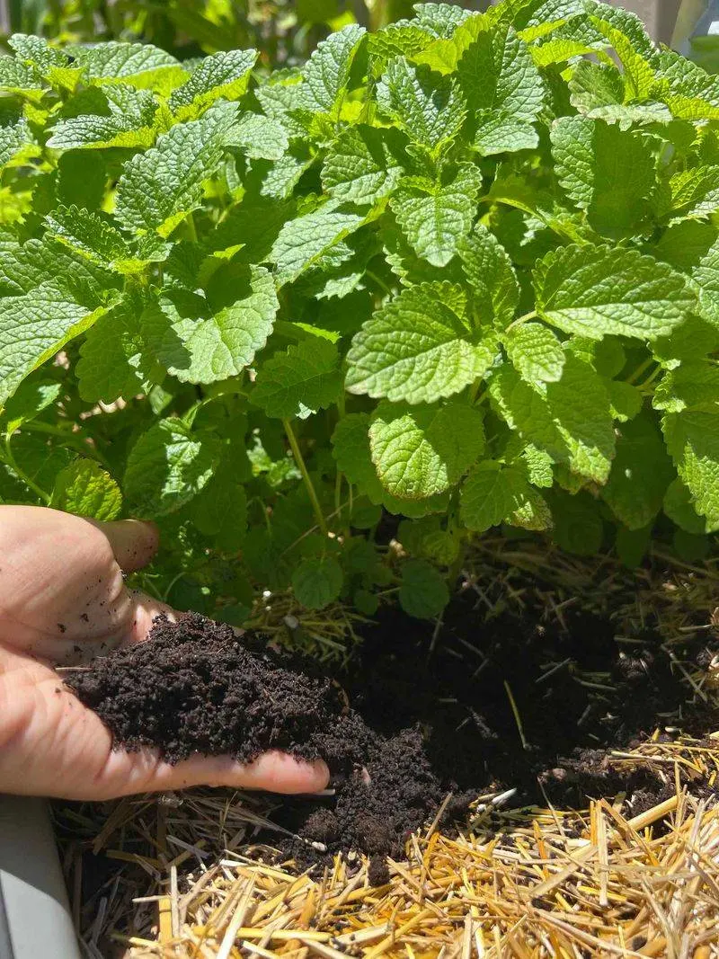Fertilize Naturally