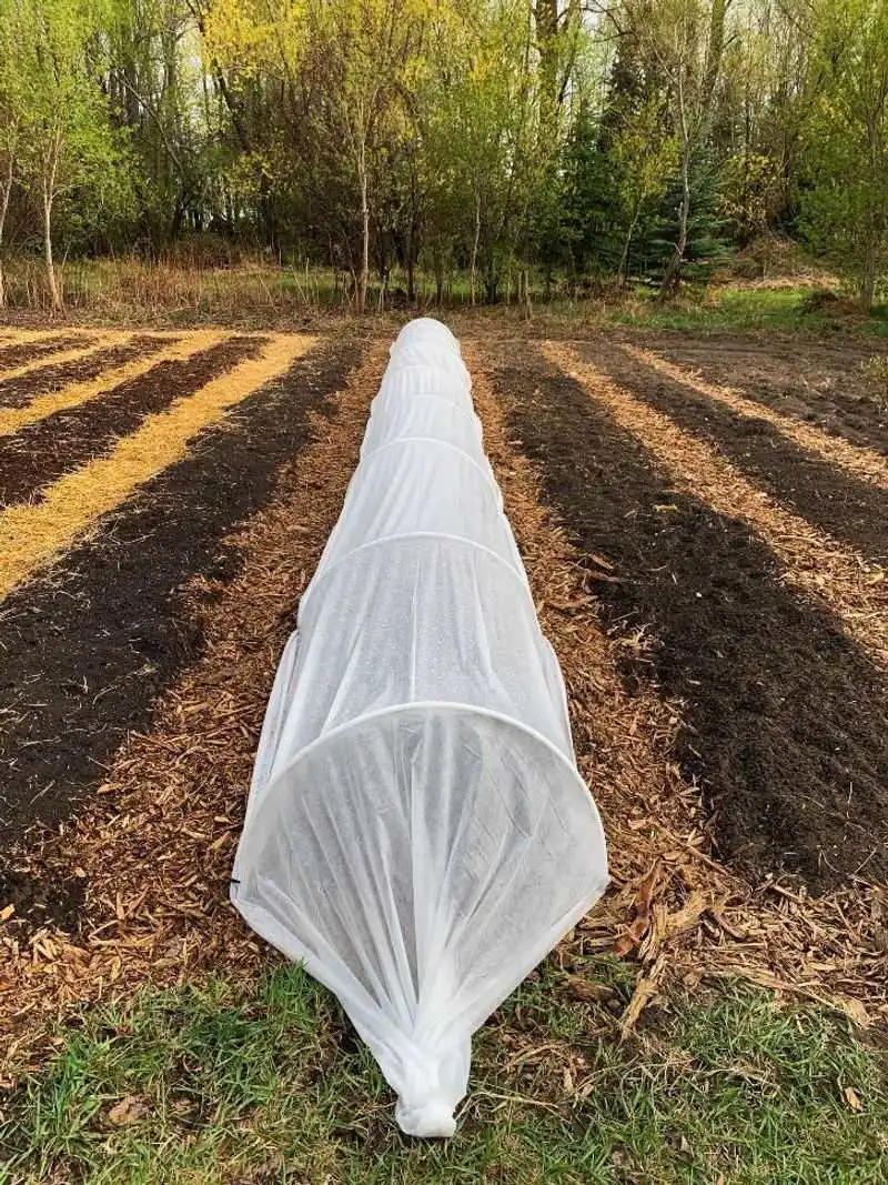 Row Covers