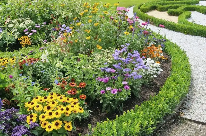 Companion Planting