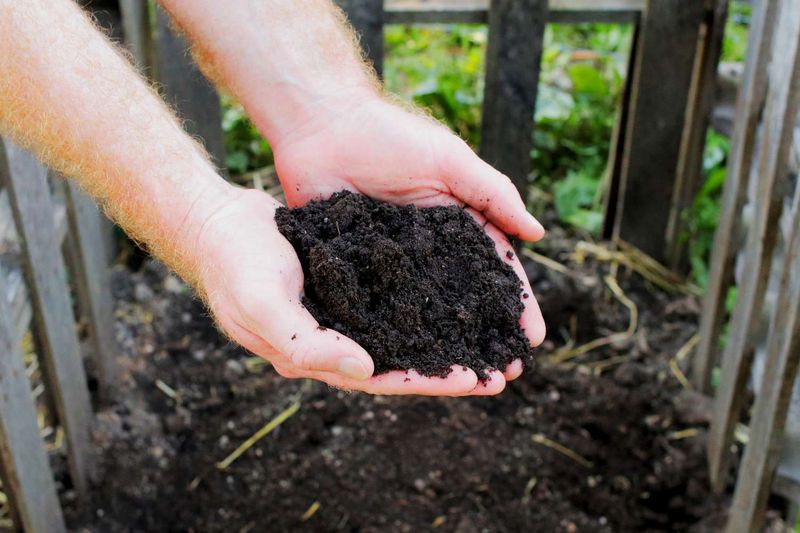 Compost