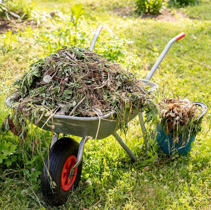 Compost Booster