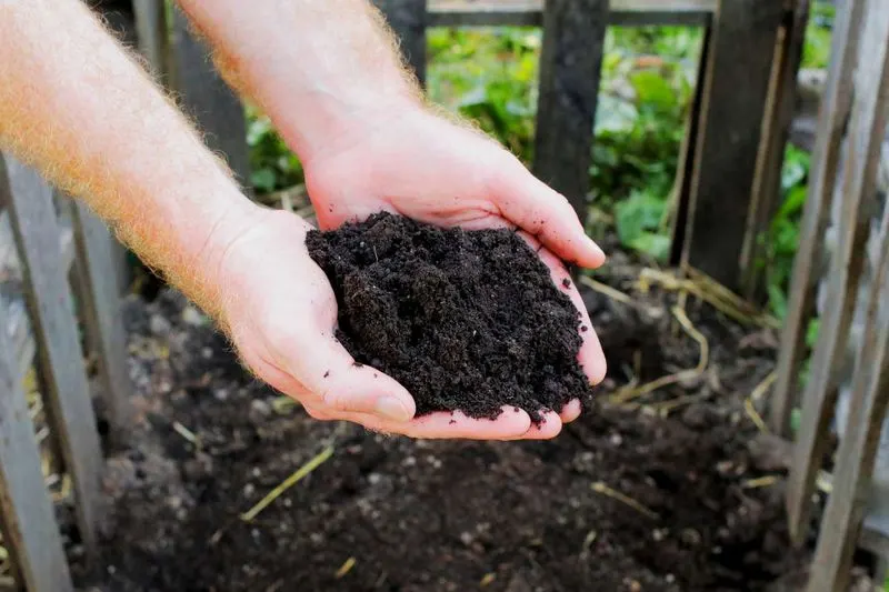 Compost and Mulch