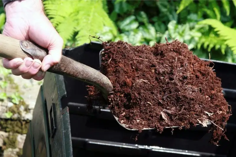 Composting: A Microbial Haven