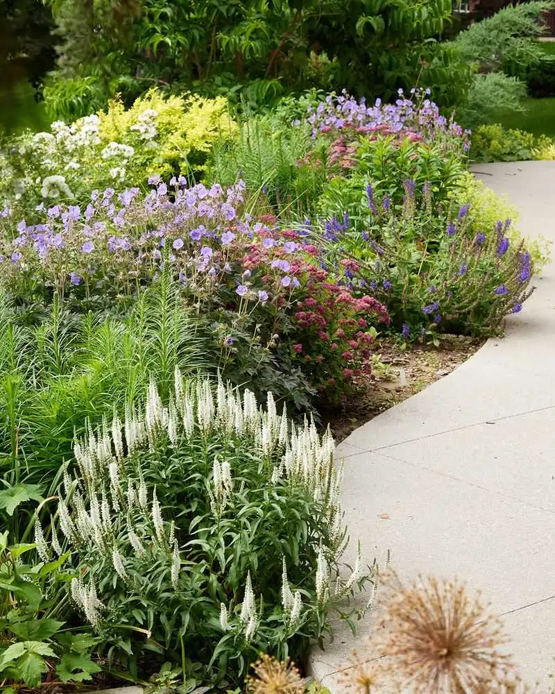 Perennial Plantings