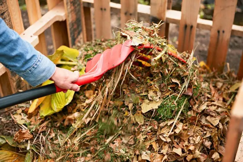 Composting Yard Waste