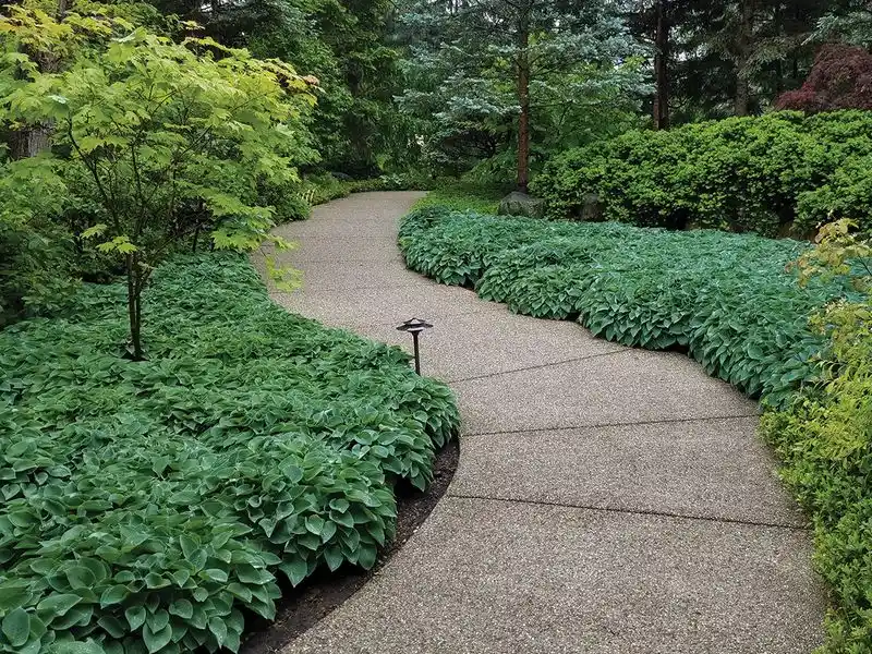 Simple Ground Cover