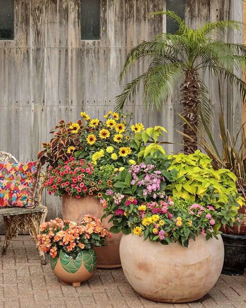 Container Gardening