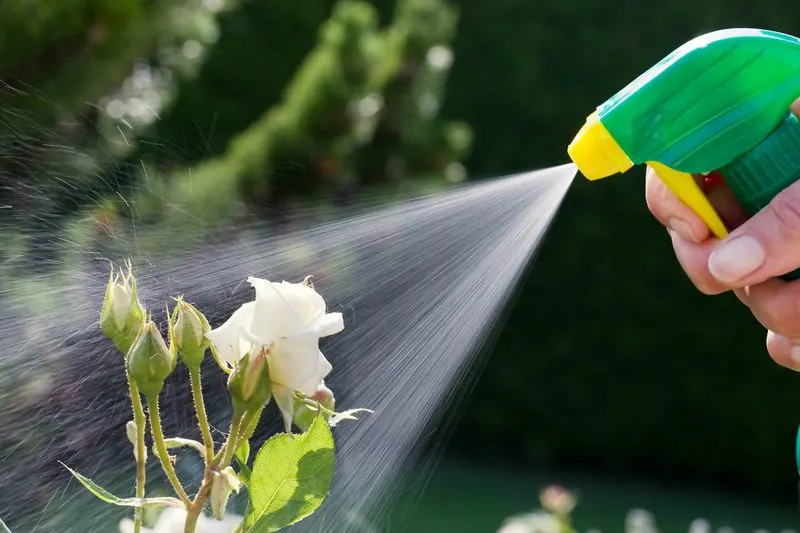 Control Pests Naturally