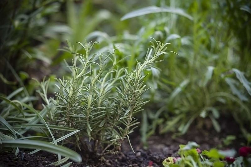 Fertilize with Care