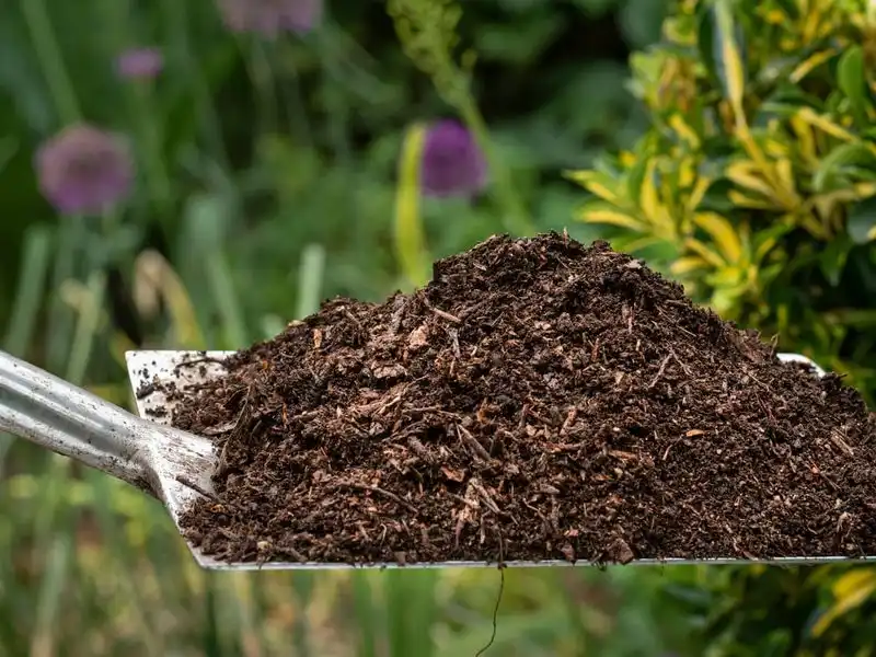 Use Mulch