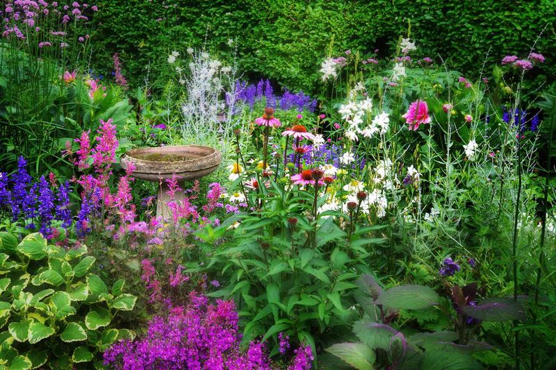 Cottage Gardens