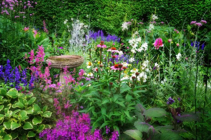 Cottage Gardens