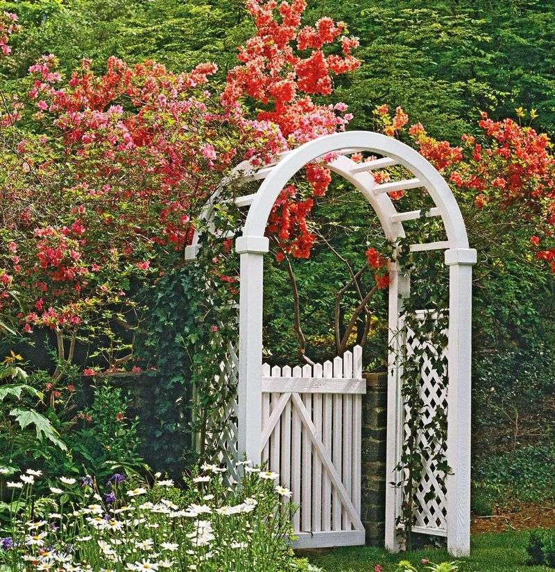 Cottage Style Lattice Gate