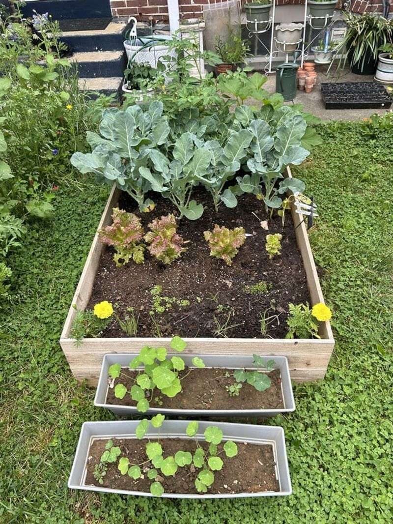 Adjust Planting Times