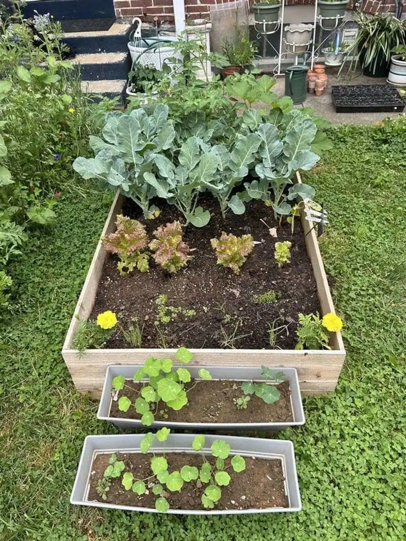 Adjust Planting Times