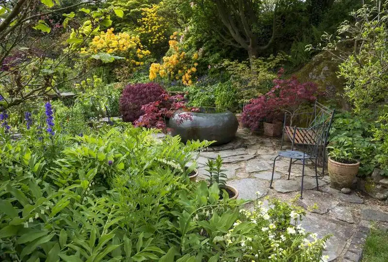Create Shade Solutions