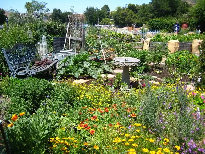 Insect-Friendly Environment