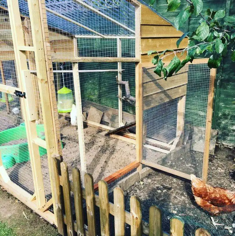 Create a Secure Coop