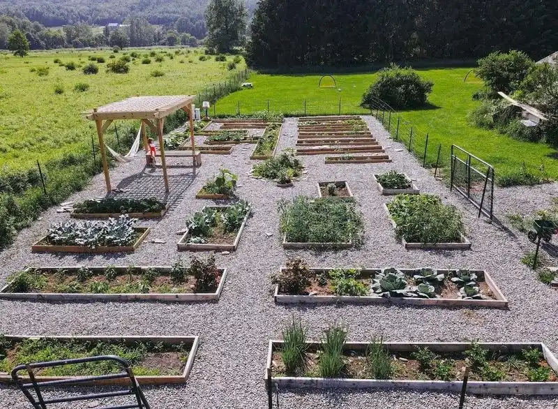 Establishing Clear Pathways