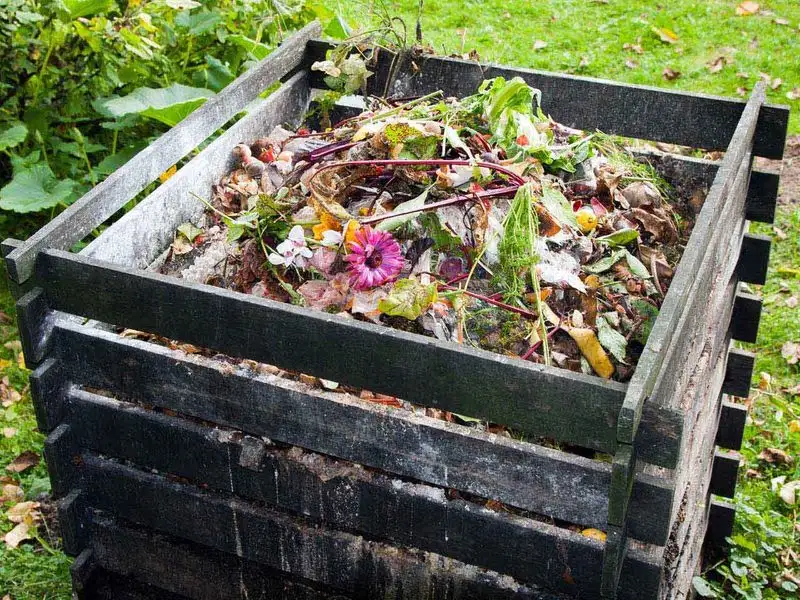 Creating a Compost Heap