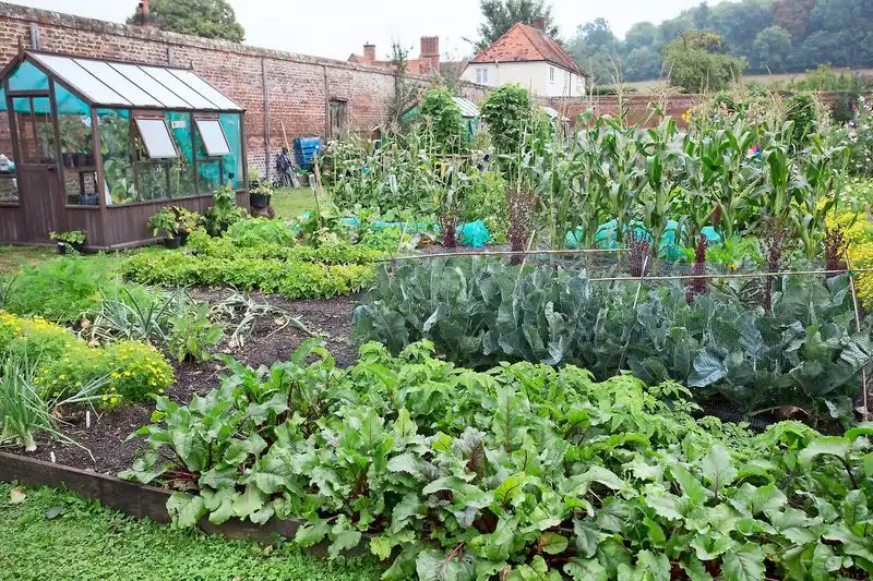 Crop Rotation Strategy