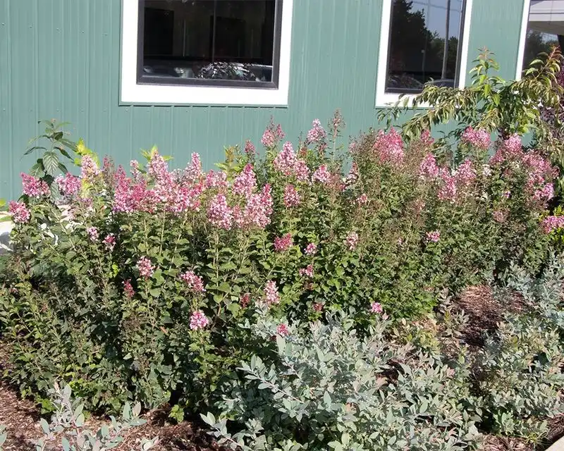 Versatility in Landscaping