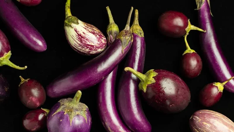 Misshapen Eggplant