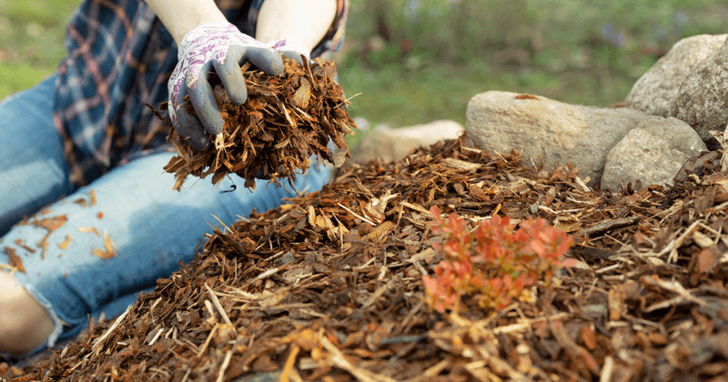 DIY Mulch