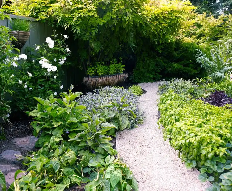 Edible Flower Borders